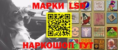 стаф Аргун