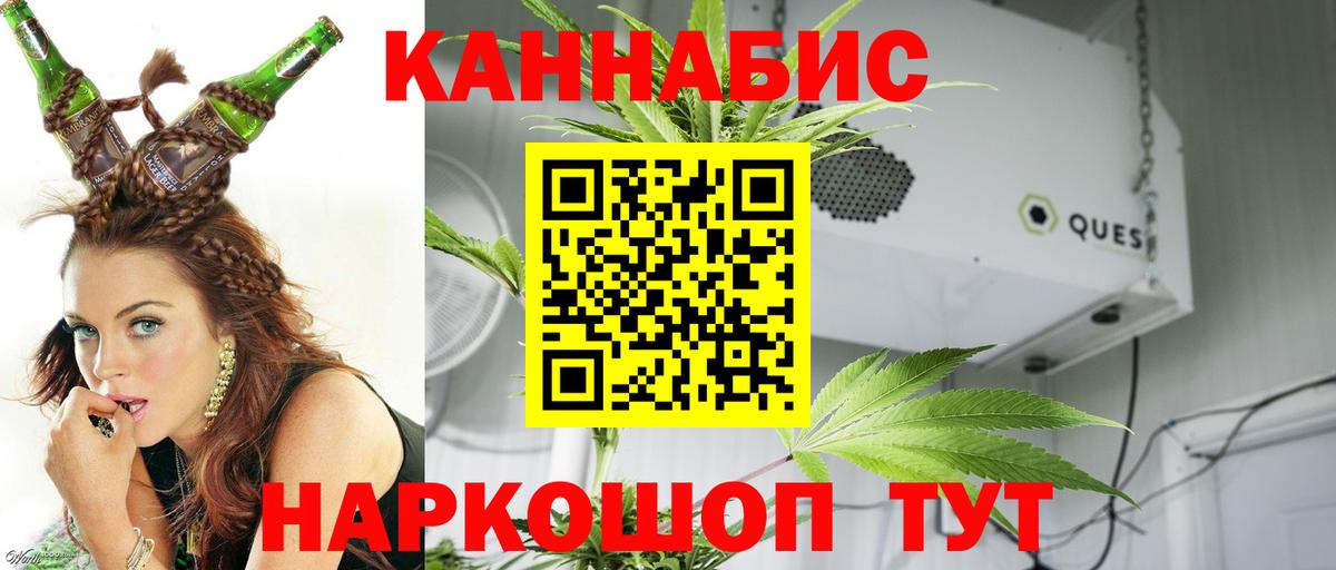 Бошки марихуана VHQ  Конопля AK-47  Шишки марихуана Amnesia  Великий Новгород  Вход с VPN 